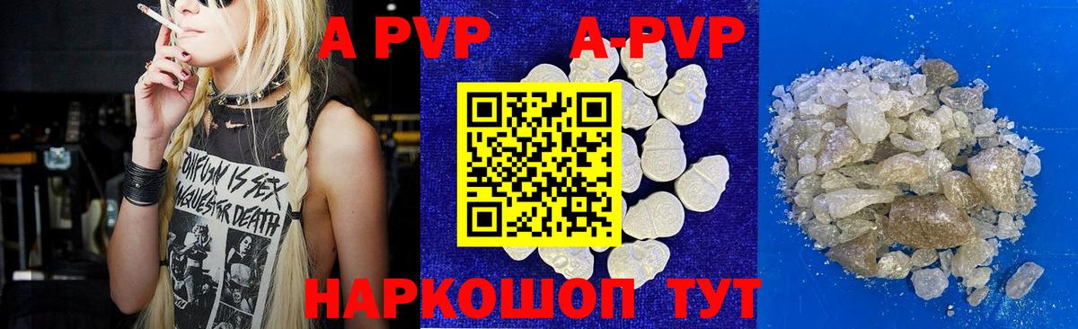 Alfa_PVP СК Балтийск