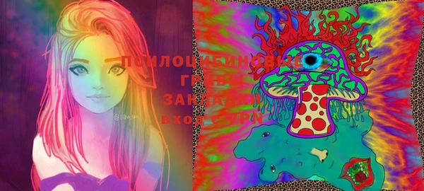 кокс Няндома