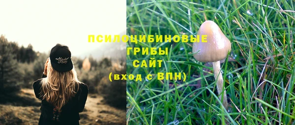 мдпв Новодвинск