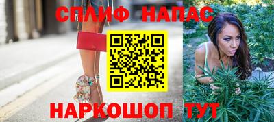 крисы Краснознаменск