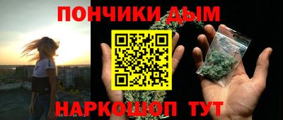 прущие грибы Краснокаменск