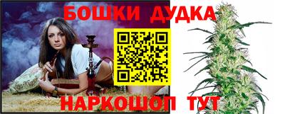 крисы Краснознаменск