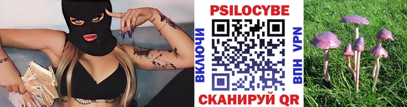Псилоцибиновые грибы мухоморы  Балтийск 