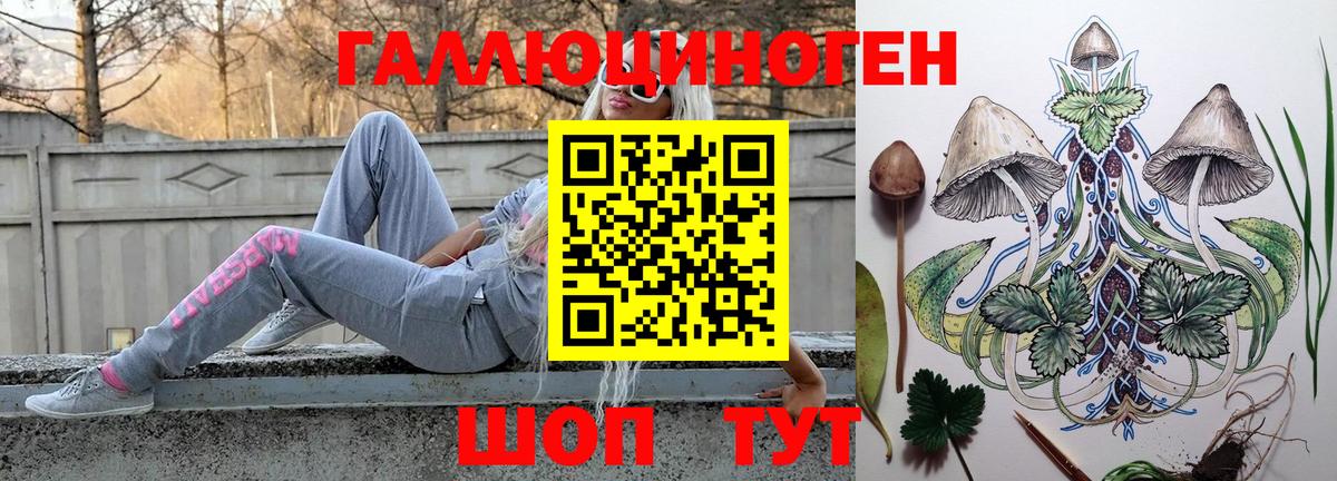 Галлюциногенные грибы прущие грибы Балтийск