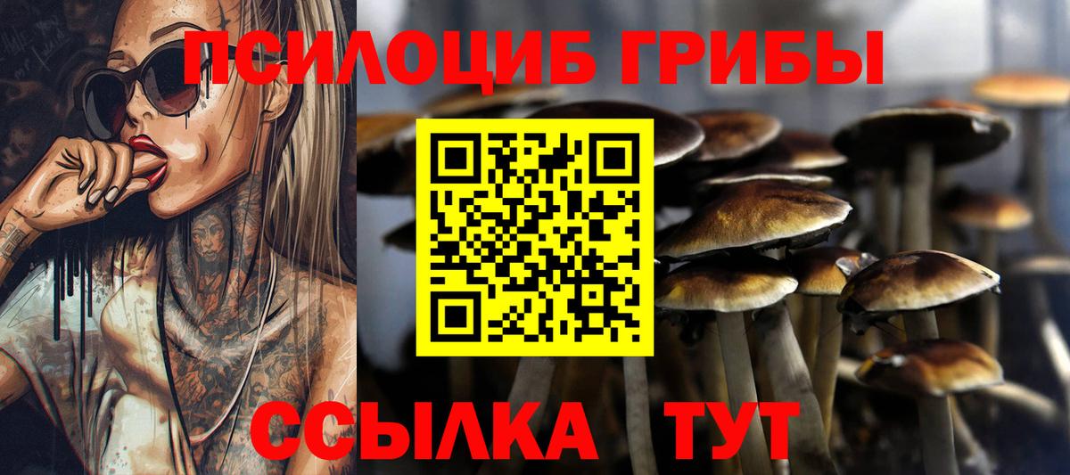 Галлюциногенные грибы Magic Shrooms  Псилоцибиновые грибы GOLDEN TEACHER  Балтийск  Вход с VPN 